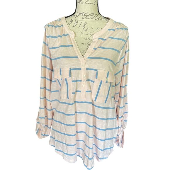 Style & Co Pink With Blue Cotton Stripes Shirt Size X-Large - Picture 1 of 4